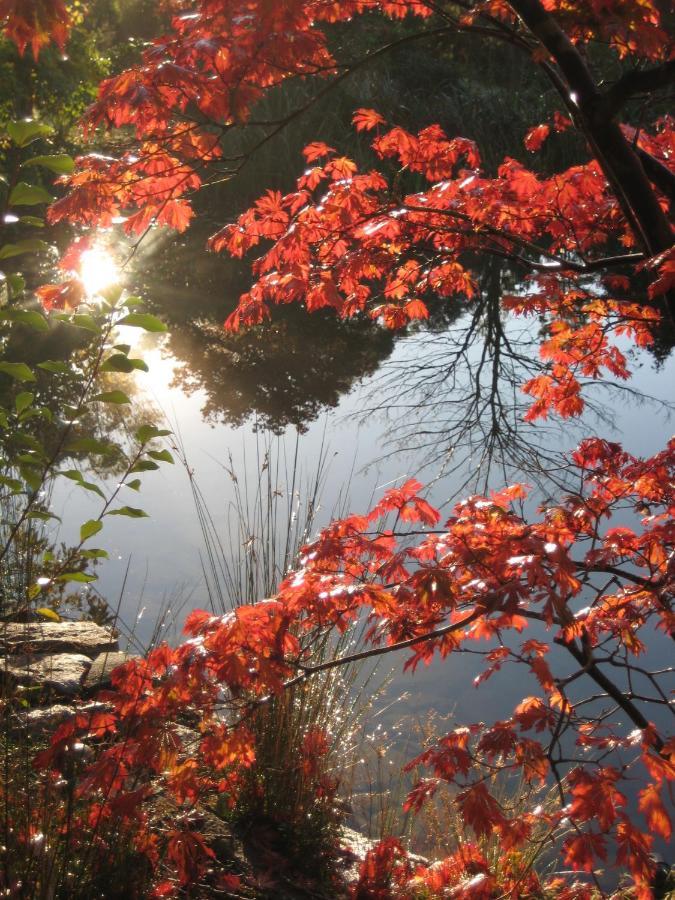 Вилла Dantosa Blue Mountains Retreat Катумба Экстерьер фото