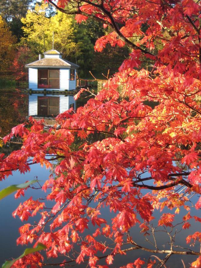 Вилла Dantosa Blue Mountains Retreat Катумба Экстерьер фото
